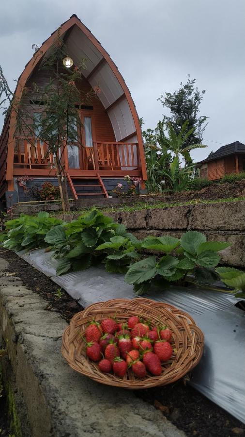 Family Rinjani Bungalow Sajang Luaran gambar
