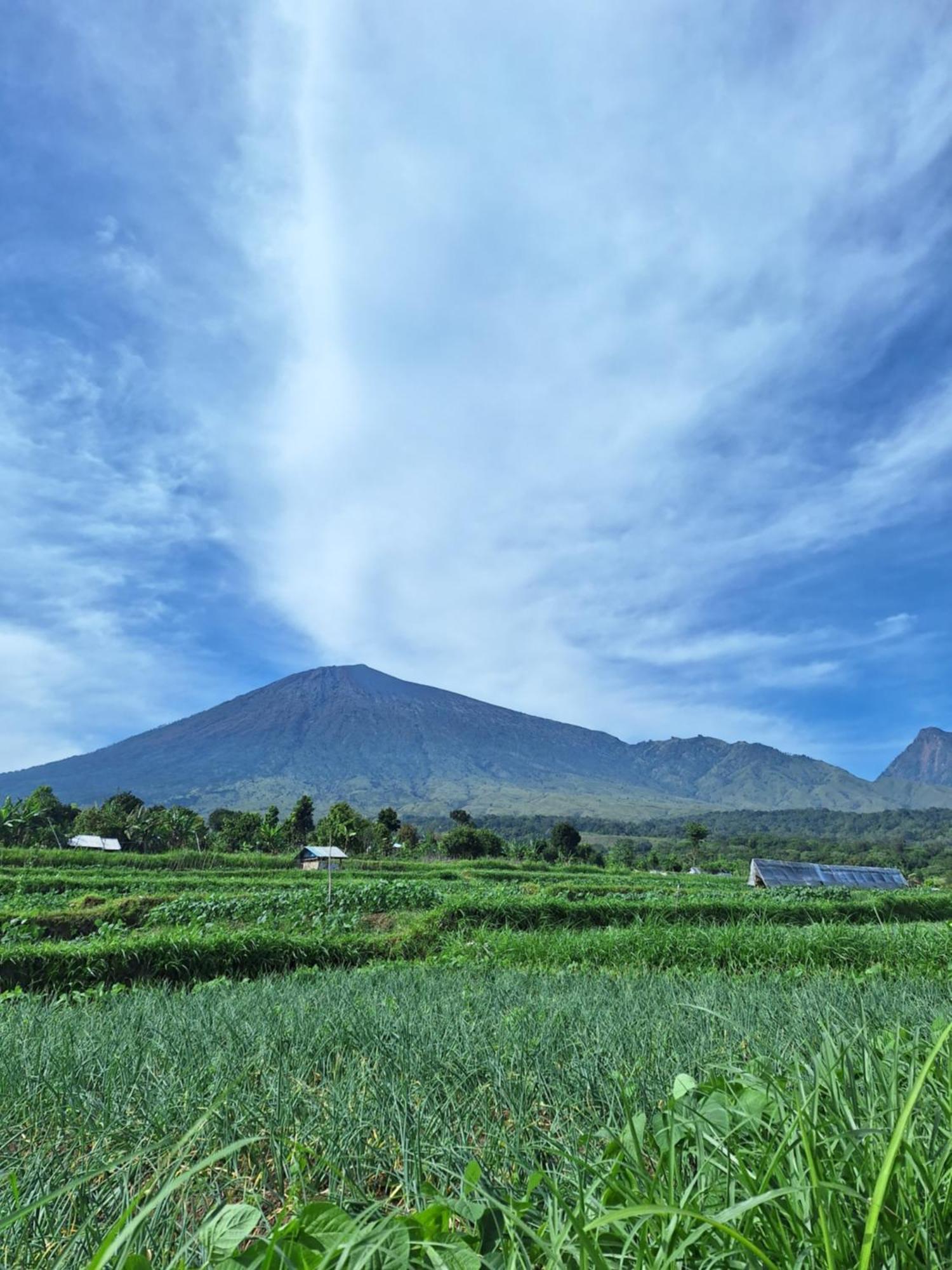 Family Rinjani Bungalow Sajang Luaran gambar